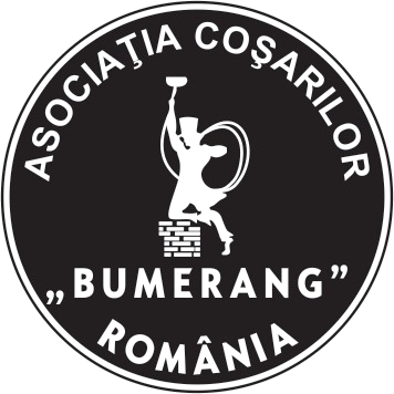 logo_asociatia_bumerang-removebg-preview